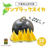 【先行予約・2027年6月下旬頃より発送】サンブラックスイカ SMAF005