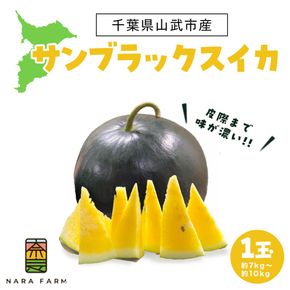 【先行予約・2027年6月下旬頃より発送】サンブラックスイカ SMAF005