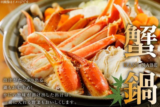 【CF01】訳あり ボイル ずわいがに 肩付き脚 総重量1kg [カネダイ 宮城県 気仙沼市 20564325_CF01] カニ かに 魚介類 ズワイガニ ずわい蟹 ズワイ蟹 ずわい ズワイ 蟹 カニ カニ脚 蟹脚 不揃い 規格外 海鮮 ご褒美