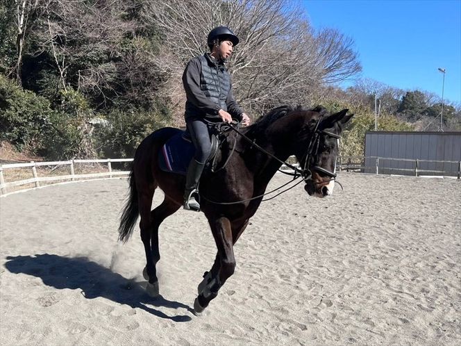 159-2057-01　気軽に楽しむ！乗馬体験20分【 体験 レッスン 神奈川県 大磯町 】