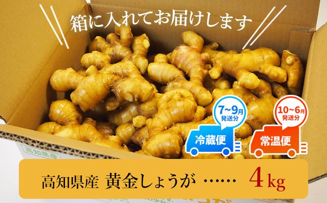 しょうが4kg 生姜一筋70年の生姜老舗問屋 黄金 【7日程度で発送】早い スピード発送 7日程度 早く 届く  Xnb-0008