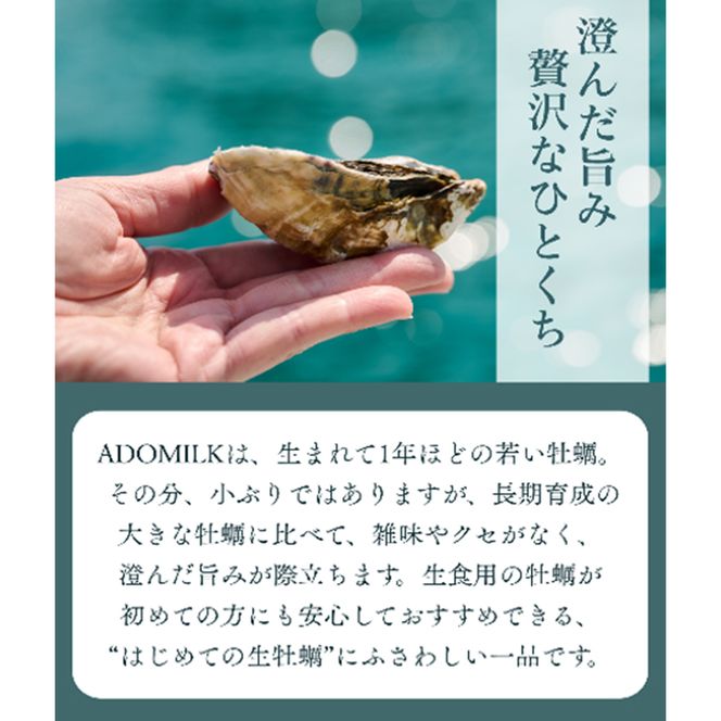 香川県東かがわ市産生食用牡蠣・ADOMILK 12個セット アドミルク あどみるく