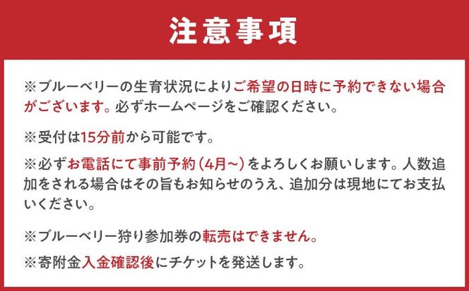 ブルーベリー狩り チケット 大人2人分 80分間食べ放題 中学生以上 狩り 体験 ブルーベリー 愛西市 / あいさいベリーLABO[AEBZ008]
