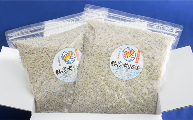 ちりめんじゃこ 牛窓 ちりめん 1kg（500g×2袋） 瀬戸内海産 【ちりめん ちりめんじゃこ 上乾ちりめん しらす干し 大容量 ごはん ごはんのお供 ふりかけ おにぎり ギフト 贈答 岡山県 瀬戸内市 牛窓 瀬戸内海 服部水産】【配達不可：離島】 [№5735-1191]