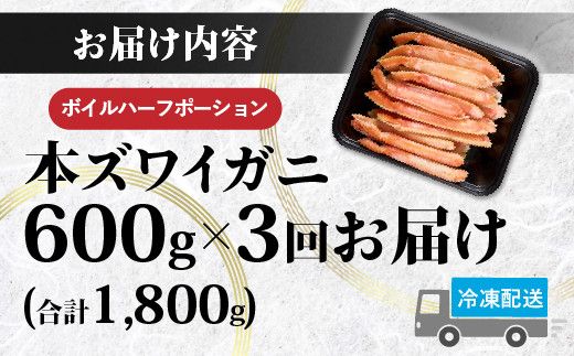 かに 本ズワイガニ 訳あり 冷凍 ボイル 足 ハーフポーション 600g | カニ 蟹 本ずわいがに ズワイガニ ずわいがに 不揃い 規格外 海産物 海鮮 かにしゃぶ かに鍋 ギフト ふるさと納税 北海道 登別市