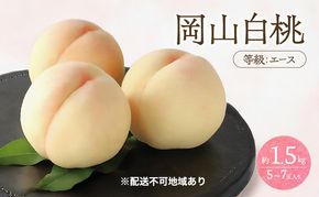 桃 2026年 先行予約 白桃 等級 エース 約1.5kg 5～7玉入り もも モモ 岡山 国産 フルーツ 果物 桃茂実苑