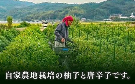 糸島産極上手造ゆずこしょう青 4本セット《小林農園》福岡《糸島》[AZE001] 福岡 てづくり 調味料 九州 柚子 胡椒 あらびき ゆず