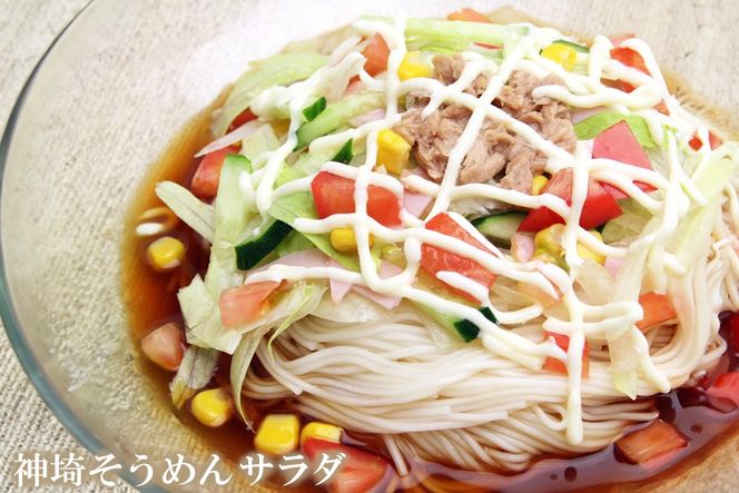 佐賀県特産品 神埼そうめん 20入【素麺 そうめん 乾麺 お中元 贈答用 無添加 夏 自家用 麺類 簡単 手軽 保存食 佐賀県産 国産】(H014133)