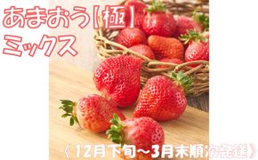 《12月下旬～3月末順次発送》あまおう【極】ミックス【とまとのまつお】_AS2157-00 いちご あまおう サイズミックス 不揃い 福岡県宗像市 宗像市 福岡 宗像