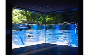 カワスイ 川崎水族館ペアチケット