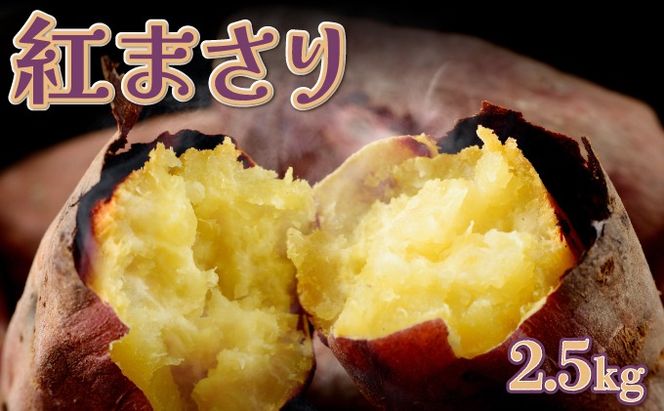 ymˎszys\zʌ @肽āI? V܂ g܂ 2.5kg  ܈  Tc}C Ă Â XC[g|eg { ₳ ƒp rk029!