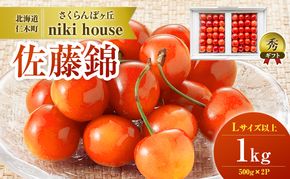 [先行受付] さくらんぼ  佐藤錦 Lサイズ以上 1kg（500g×2パック） 化粧箱入  サクランボ チェリー フルーツ 果物 果物類 ギフト 贈答品 北海道 仁木町 仁木  [小林信幸]