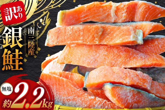 y{錧Oz󂠂 OY  ؐg 2.2kg [X {錧 O m304amh530007]    CN  TP ؐg VP ؂g A  ٓ T[ ؂g Y  KiO  s Ⓚ ƒp 킯