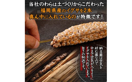 北海道のわら納豆（大粒）80g×6本 たれ付き（10ヶ月定期便）【くま納豆 北海道産大豆100% 高級 お取り寄せ 藁納豆 ご飯のお供】