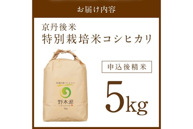 2026年産 京丹後米 特別栽培米コシヒカリ 5kg（白米）　注文後精米　米 京丹後 特別栽培米 5キロ 農家直送 米 こめ ふるさと 納税 コシヒカリ 精米 ふるさと 納税 こしひかり ふるさと 納税 米 精米 京都産 京丹後 野木源 送料無料　NO00033