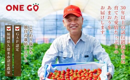 【2026年2月発送】【香春町 大容量 数量限定】 あまおう 約280g×6パック 計1680g いちご 苺 イチゴ ベリー 果物 フルーツ お取り寄せ デザート おやつ