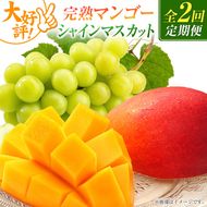 【定期便・全2回】完熟マンゴーとシャインマスカット定期便（マンゴー 完熟マンゴー アップルマンゴー ブドウ ぶどう マスカット 定期便）