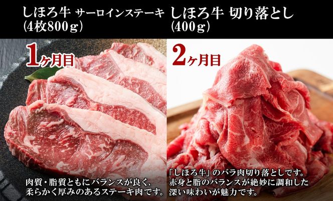 【CF】■定期便■ 北海道 しほろ牛 冬の定期便 全5回 牛肉 サーロイン ステーキ リブロース 切り落とし ローストビーフ 肉 牛 赤身肉 国産牛 肉 ビーフ 牛肉 冷凍 お惣菜 焼肉 頒布会 送料無料 十勝 士幌町【X22】