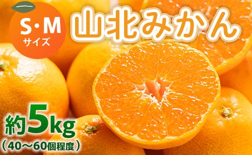みかん 山北みかん S・Mサイズ 約5kg（40～60個程度） 山北みらい 秀品 - 果物 フルーツ 柑橘類 温州みかん ミカン 蜜柑 甘い おいしい 美味しい 高知県 香南市 yk-0062