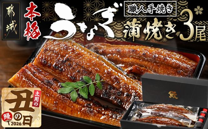 【丑の日】職人手焼きの本格うなぎ蒲焼き3尾≪7月20日～25日お届け≫_AC-33-003-3-UG 