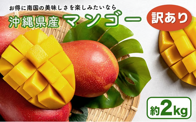 ハナトフルーツ 沖縄県産 訳ありマンゴー２ｋｇ 【 先行予約 2026年発送 】