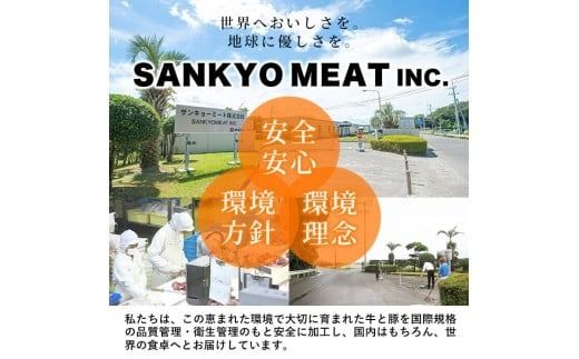 【定期便全4回】 鹿児島県産黒豚の満喫定期便(計5.1kg) t0058-004