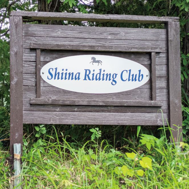 Shiina Riding Club　会員様が使える騎乗チケット（12,000円分）【茨城県 北茨城市 アクティビティ おでかけ 体験 チケット 馬 乗馬】（DA004）