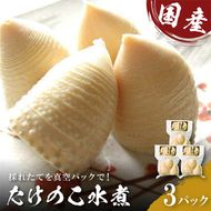 国産たけのこ水煮【中津川市瀬戸産】孟宗筍のみ使用 F4N-2379