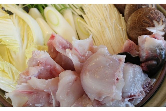 ＜訳あり・業務用＞豊後とらふぐ業務用パック ふぐちり鍋用 (計約500g・4-5人用) とらふぐ ふぐ フグ 鍋 ふぐちり鍋 冷凍 養殖 国産 大分県 佐伯市【AB214】【柳井商店】