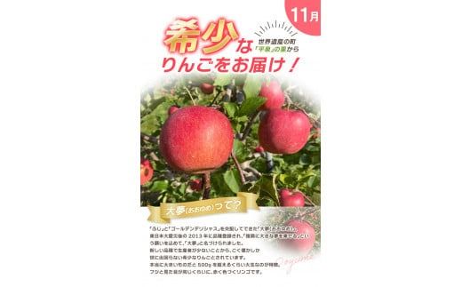 【令和7年度予約受付】大文字りんご園 季節のりんごづくし定期便！/ 樹上完熟 りんご リンゴ 林檎 紅いわて サン北斗 大夢 サンフジ 果物 くだもの フルーツ 甘い 旬 産地直送 予約 先行予約【dma513-set-3×4A】