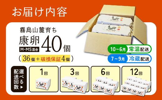 卵霧島山麓育ち こだわり卵 康卵 計40個（36個 + 割れ保証4個）たまご 玉子 卵焼き 玉子焼き たまご焼き 生卵 鶏卵 たまごかけごはん 国産 九州産 宮崎県産 送料無料