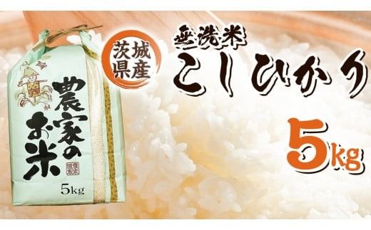 【 産地直送 】 茨城県産 無洗米 コシヒカリ 5kg 令和6年産 精米 米 お米 コメ 白米 こしひかり [CZ011ci]