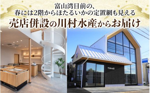 ほたるいか素干し200ｇ（100匹前後）
