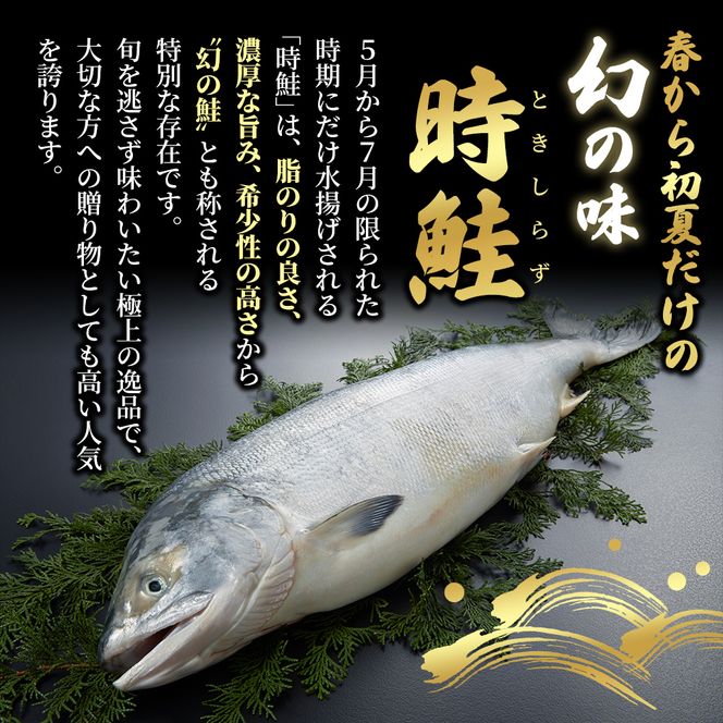 北海道産 時鮭 半身 500g～550g 鮭 さけ シャケ 魚 甘塩 冷凍 半身加工 旬 
