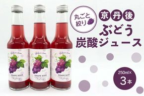 京丹後のぶどう炭酸ジュース（ソーダ） 小瓶3本入り（2025年9月下旬～発送）　SF00027