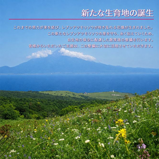 【礼文島リボンプロジェクト】北海道 礼文島 香深産 開きほっけ＆ちゃんちゃん焼き 詰め合わせ「ほっけ三昧」ピンバッジ付［香深漁業協同組合］【 ほっけ ホッケ 開きほっけ ちゃんちゃん焼き 干物 海鮮 自然保護 寄付 北海道産 】