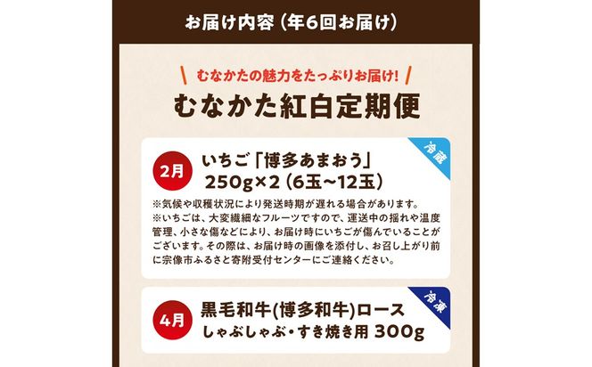 【年6回／偶数月お届け】むなかたの魅力をたっぷりお届け!むなかた紅白定期便_HB0201