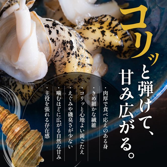 先行受付 北海道 厚岸産 殻灯台 つぶ 2kg（1kg×2パック） 魚介類 海の幸 海産物 海鮮 貝 つぶ貝 希少 下処理不要 刺身 塩茹で お酒のあて つまみ 国産 北海道産 