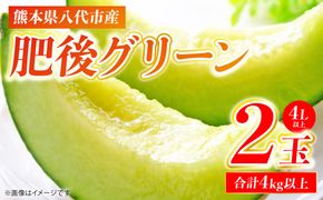 肥後グリーン 2玉 4L以上（合計4kg以上）メロン 果物 果実 くだもの フルーツ 熊本県 八代市