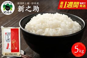 【最短1週間程度発送】令和8年産  新潟県上越妙高産 新之助 5kg