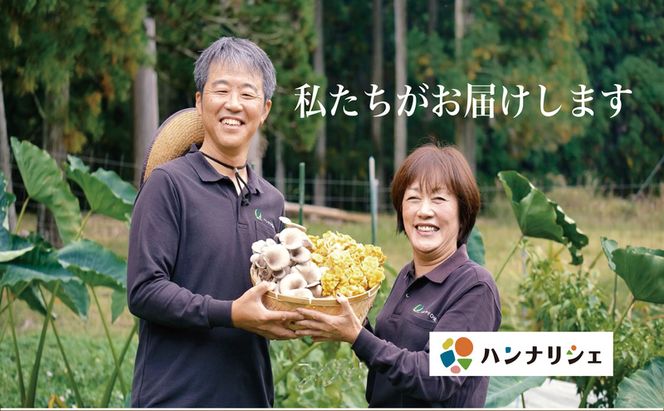 京都府産オーガニック　ヒラタケ（6パック入り約840g）