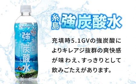 【全3回定期便】強炭酸水 プレーン 500ml × 24本 糸島市 / スターナイン 炭酸水 国産 [ARM009] 炭酸水 500ml 24本 送料無料 プレーン 国産 炭酸 常温