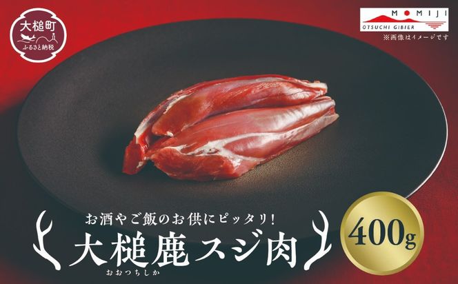 【ジビエ】大槌産 鹿肉（スジ肉 200g×1パック/200g×2パック計400g）｜肉 大槌ジビエ 岩手県 大槌町 いわて iwate 三陸 MOMIJI