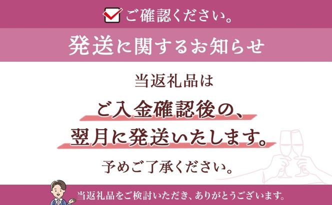 【北海道産ワイン】 限定スパークリングワイン KP”Beginning" 750ml×1本 仁木町産ナイアガラ100%使用 ワイン 白 辛口 スパークリング お酒 シャンパン 