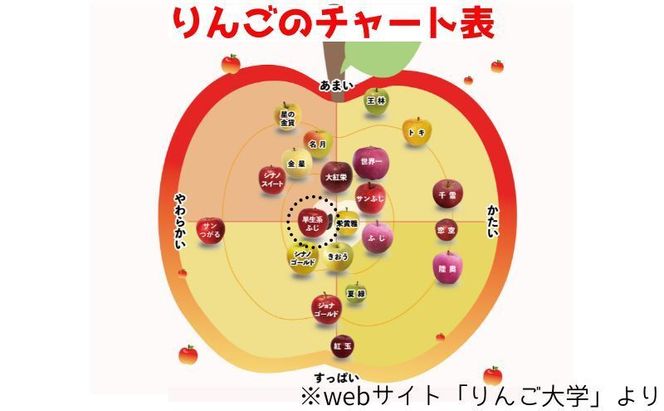 【 9月・10月発送 】 家庭用 早生ふじ 約 3kg 【 青森県鶴田町産 りんご 青森りんご 】果物類 フルーツ 林檎 リンゴ 鶴田町 青森県 おやつ デザート