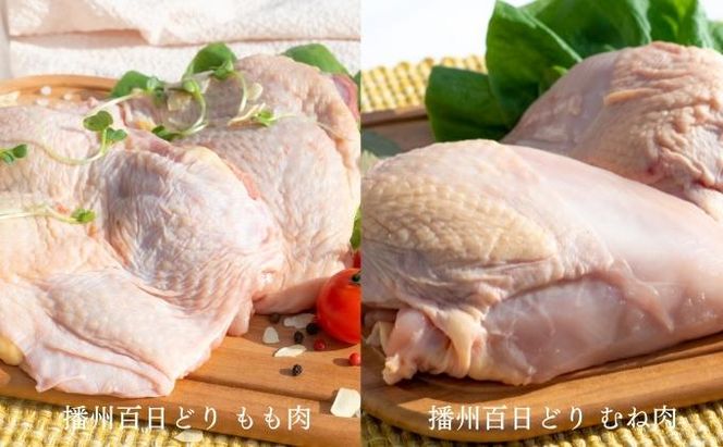 アラジン ポータブルガスコンロ ヒバリン 緑 播州百日どり 1.2kg セット SAG-HB01FG