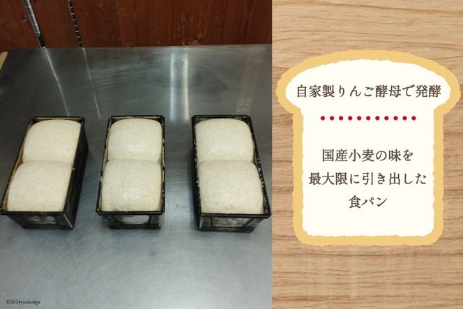 【パリもち！】窯焼き 石臼挽き 全粒粉食パン 1本 8枚切 [しぜん酵母と石窯ぱん　bungaーぶんがー 長野県 池田町 48110768] パン 長期保存 加熱調理 便利食品 朝食 サンドイッチ