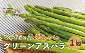 ＜北海道産 夏採れグリーンアスパラ １㎏＞シャッキリみずみずしい味わい！！ 北海道 北海道産 国産 産地直送 乙部町 旬 新鮮 農家直送 あすぱら アスパラガス 野菜 冷蔵配送 L以上 お取り寄せ 送料無料