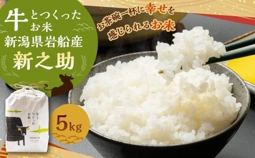 【令和7年産米】牛とつくったお米 新潟県 岩船産 新之助 精米 5kg 1041002