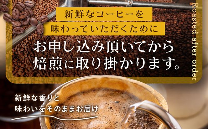 [豆]コーヒー豆 100g×6種類セット 合計600g 注文後焙煎 272183_BG426